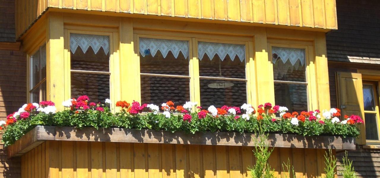 Apartament Urlaub Bei Moses Schoppernau Zewnętrze zdjęcie